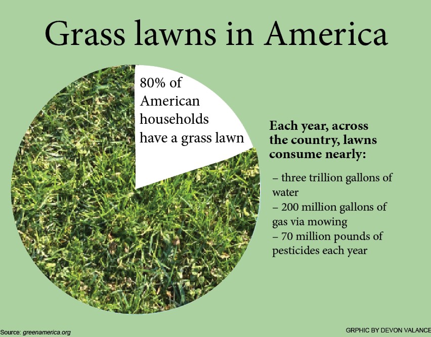 Grass lawns: the modern landscaping dilemma